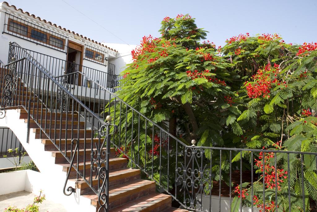 Alsol Las Orquideas Playa del Ingles  Exterior foto