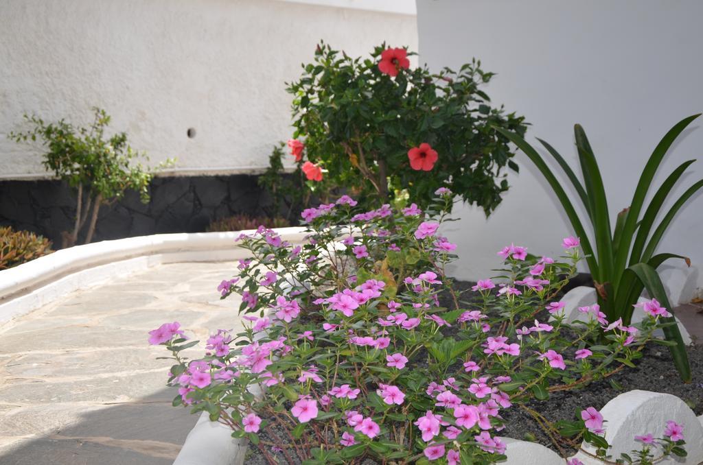Alsol Las Orquideas Playa del Ingles  Exterior foto