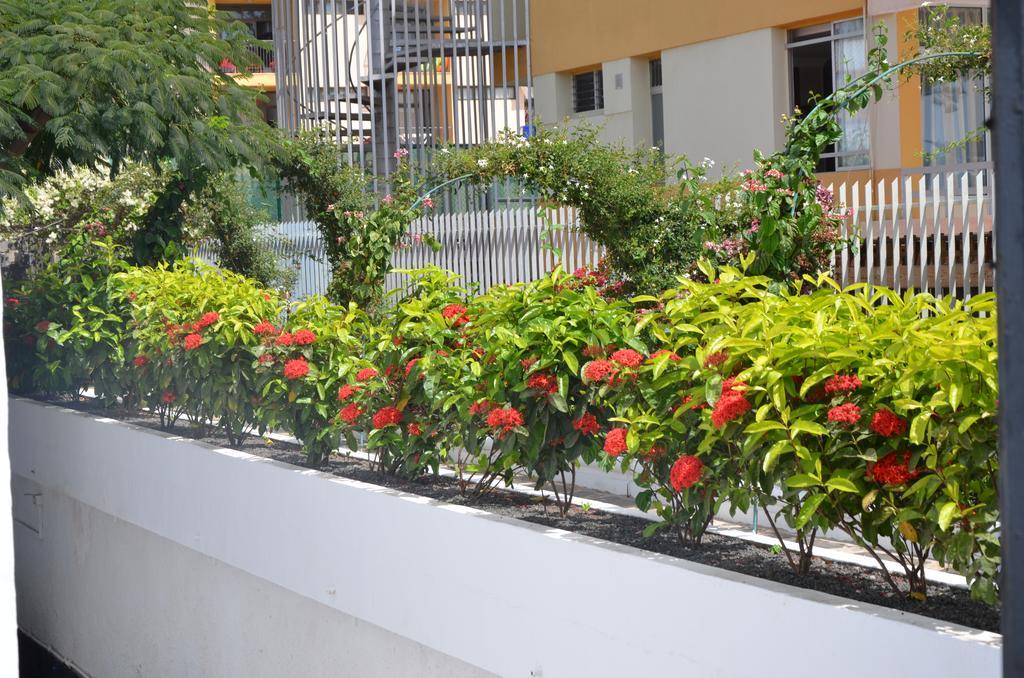 Alsol Las Orquideas Playa del Ingles  Exterior foto