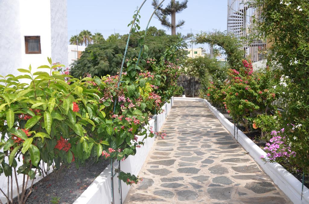 Alsol Las Orquideas Playa del Ingles  Exterior foto
